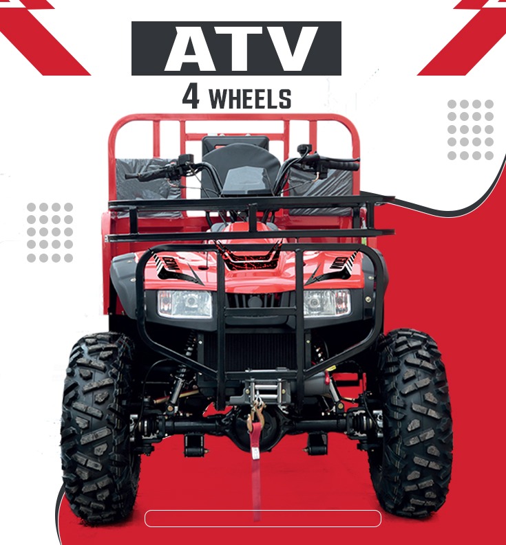 WhatsApp Image 2026-02-10 at 12.23.10 PM